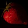 Class 2 "Edible Delights" - C - Jayne Merriman, Grimsby Flower Lovers, North Midlands Area