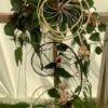 Lincolnshire Show – Best in Show – Jade Loftus, Elixir Lincolnshire Show – Best in Show – Jade Loftus, Elixir